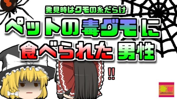 【2007年ドイツ】ペットの毒蜘蛛に噛まれ食べられてしまった男性 発見時には蜘蛛の巣に包まれ…【ゆっくり解説】