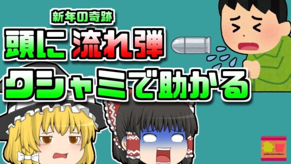【2010年イタリア】新年を迎えた瞬間 流れ弾に頭を撃ち抜かるも「頭痛」で済んだ男性【ゆっくり解説】
