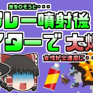 【2010年】虫用スプレーをまいた後 ライターに点火してしまった韓国女性...【ゆっくり解説】