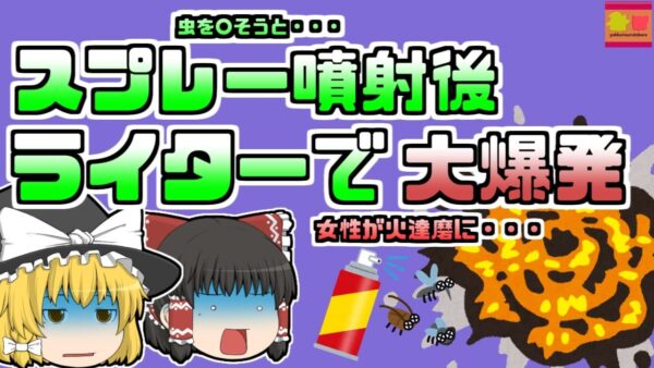 【2010年】虫用スプレーをまいた後 ライターに点火してしまった韓国女性...【ゆっくり解説】