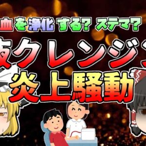 【2017年】体の血液を浄化する？『血液クレンジング』とその炎上騒動 【ゆっくり解説】