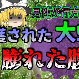 【2017年】捕獲された7mの大蛇 大きく膨れた腹 数日前から行方不明になっていた男性は…【ゆっくり解説】