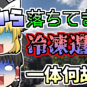 【2019年】突然空から降ってきた『冷凍男』その正体は...【ゆっくり解説】