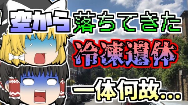 【2019年】突然空から降ってきた『冷凍男』その正体は...【ゆっくり解説】