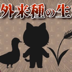 【ゆっくり解説】実は外来種だった生き物8選