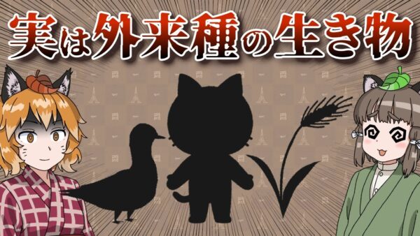【ゆっくり解説】実は外来種だった生き物8選