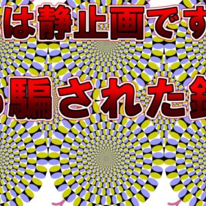 【ゆっくり解説】AIも騙された錯視の仕組みを解説。動いているようにみえますか？