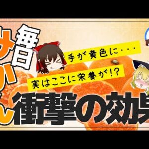 【ゆっくり解説】毎日みかんをたべると衝撃の効果が！？ビタミンCだけじゃないその栄養素について