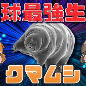 【ゆっくり解説】地球最強生物！？クマムシのヤバすぎる耐性能力【へんないきものRE#1】