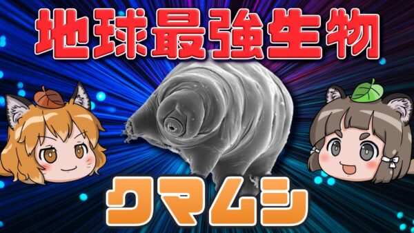 【ゆっくり解説】地球最強生物！？クマムシのヤバすぎる耐性能力【へんないきものRE#1】