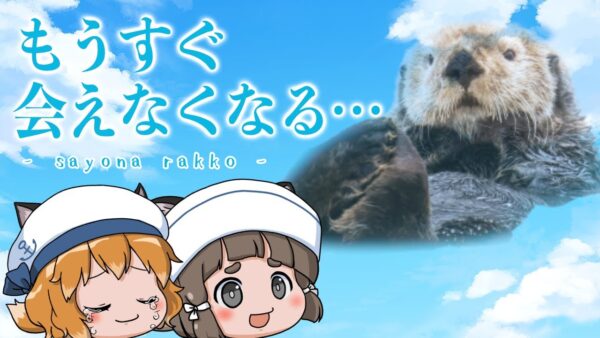 【ゆっくり解説】ラッコが水族館から消える日｜国内繁殖が絶望的な理由…