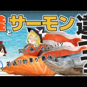 【ゆっくり解説】鮭とサーモン本当の違いは？鮭の若返り効果が最強説について