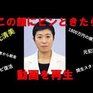辻元清美に騙されるな！！
