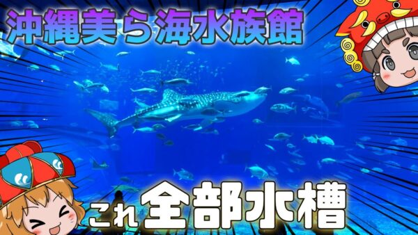 「沖縄美ら海水族館」日本最大級の黒潮の海水槽が壮観すぎた！（前編）【水族館観光/ゆっくり解説】