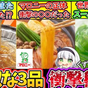 【ゆっくり解説】鍋料理史上人気のマロニー・ところてん・葛切りの違いを徹底解説！