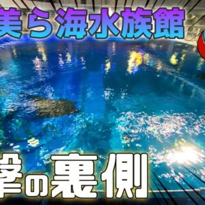 沖縄美ら海水族館の裏側に潜入！バックヤードツアーがヤバすぎた…（後編）【水族館観光/ゆっくり解説】