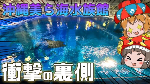沖縄美ら海水族館の裏側に潜入！バックヤードツアーがヤバすぎた…（後編）【水族館観光/ゆっくり解説】