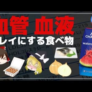 【ゆっくり解説】健康診断も怖くない！絶対に食べたい！血管と血液をキレイにする食べ物について