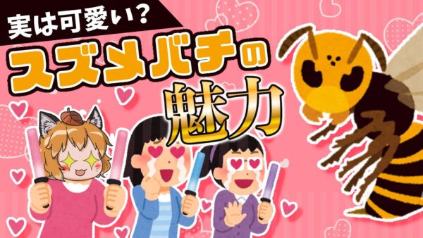 【ゆっくり解説】実は可愛いスズメバチ！？愛好家が語る真の魅力とは…？