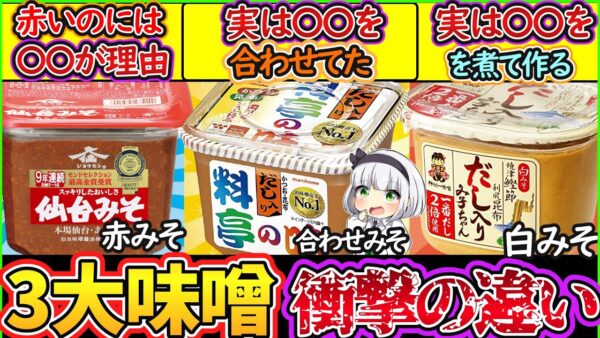 【ゆっくり解説】日本の調味料史上「衝撃のひみつ」！赤味噌、白味噌、合わせ味噌汁の違いがヤバい⁉︎