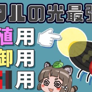 【ゆっくり解説】実は最強？ホタルの光に隠されたヤバすぎる秘密