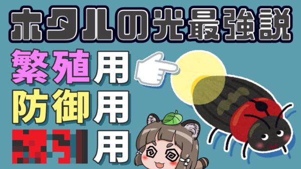 【ゆっくり解説】実は最強？ホタルの光に隠されたヤバすぎる秘密