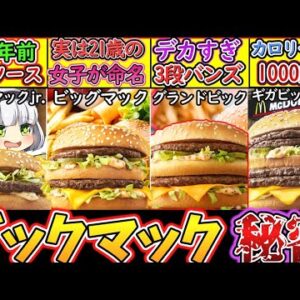 【ゆっくり解説】マクド史上巨大バーガービッグマックの歴代進化の秘密を解説！ギガとグランドの違いは⁉︎