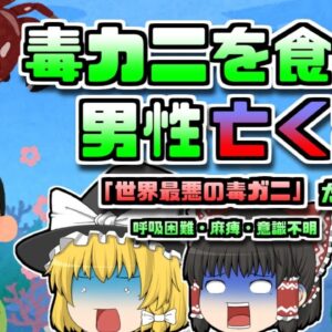 【1995年アメリカ】ハワイで釣った「カニ」を食べ意識不明になった二人。実は世界最悪の毒ガニだった【ゆっくり解説】