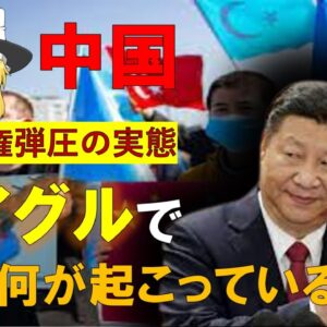 【20分でわかる】新疆ウイグル自治区で何が起こっているか知っていますか？
