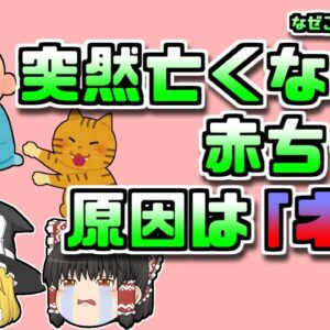【2008年アメリカ】突然高熱を出して亡くなった赤ちゃん その原因は飼っていた「猫」？！【ゆっくり解説】