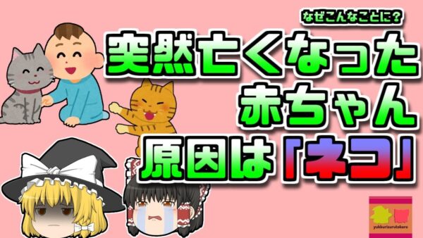 【2008年アメリカ】突然高熱を出して亡くなった赤ちゃん その原因は飼っていた「猫」？！【ゆっくり解説】
