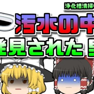 【2011年韓国】汚水が溜まった浄化槽で溺れてしまった男性 【ゆっくり解説】