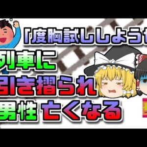【2014年オランダ】線路に寝そべってやり過ごそうとした男性 予想よりも列車が低く、数十メートルも引きずられ…【ゆっくり解説】