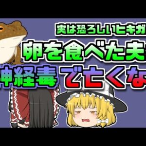 【2017年中国】ヒキガエルの卵しゃぶしゃぶを食べた主婦 激しい食中毒で亡くなる 実は恐ろしい『カエルの毒』【ゆっくり解説】