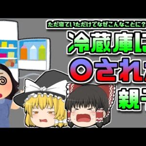 【2017年アメリカ】幼い命を奪った「〇人冷蔵庫」別荘で遊んでいた家族に一体何が？【ゆっくり解説】