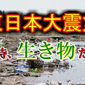 【ゆっくり解説】#26-1 とある写真家の震災記録(前編)～消えた砂浜～【閲覧注意】