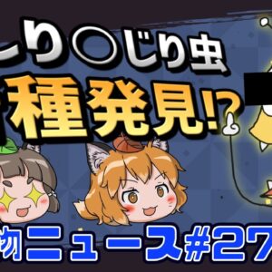 【ゆっくり解説】新種の甲殻類はおしりかじり虫！？牙の無いゾウの悲しい進化？カピバラが住宅街に大量発生！【生き物ニュース#27】