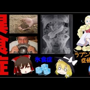 【ゆっくり解説】異食症になるとどうなる？髪や金属！食べずにはいられない！？ヤバイ食症4選
