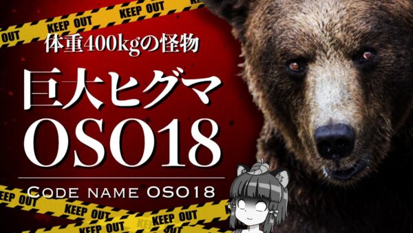 【ゆっくり解説】牛を襲う400kgの巨大ヒグマ「OSO18」｜北海道に出没し専門家も絶望状態に…
