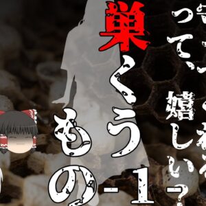 【ゆっくり怪談73・洒落怖朗読】巣くうもの・１―女友達に憑りつく悪霊vs心霊スポットで出没した悪霊