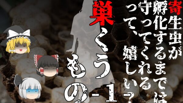 【ゆっくり怪談73・洒落怖朗読】巣くうもの・１―女友達に憑りつく悪霊vs心霊スポットで出没した悪霊
