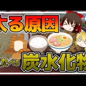 【ゆっくり解説】「寝る前の炭水化物が太る」は嘘？夕食に総炭水化物の80％を食べた方が痩せる件について