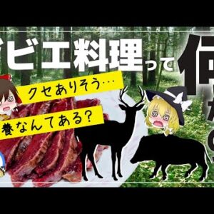 【ゆっくり解説】ジビエ料理って何？危険！？シカ肉の意外な栄養効果について