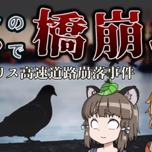 【ゆっくり解説】ハトのフンで巨大な橋崩壊！？｜ミネアポリス高速道路崩落事件