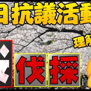 韓国、日本に対する抗議活動でなぜか桜を切り倒すと宣言【ゆっくり解説】