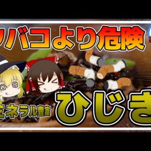 【ゆっくり解説】ひじきの危険性！注意しなければならない本当の理由とは？