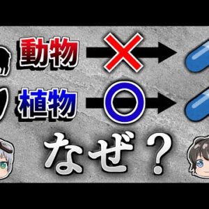 【ゆっくり解説】なぜ植物は薬になり動物は薬にならないのか？－植物の生存戦略－