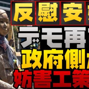 【韓国ニュース】韓国でデモ勃発！正義連と慰安婦像を撤去しろ！【ゆっくり解説】【ゆっくり 解説】