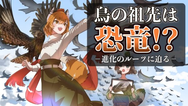 【漫画】鳥の祖先は恐竜ってホント？－進化のルーツに迫る－【マンガ動画／ゆっくり解説】