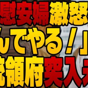 韓国大統領府に自称慰安婦が不法侵入未遂！？ガチギレする李容洙【ゆっくり解説】【ゆっくり 解説】